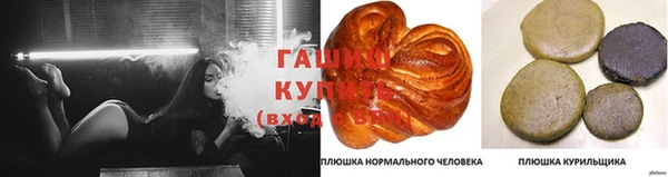 стаф Алексеевка