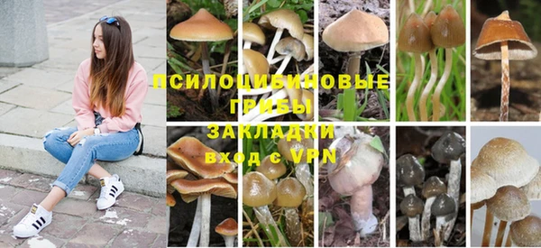 каннабис Алексин