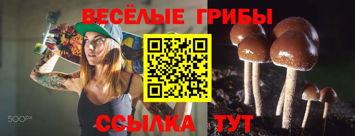 где можно купить наркотик  Вход с VPN  Псилоцибиновые грибы Psilocybe  Волоколамск  Псилоцибиновые грибы Magic Shrooms 