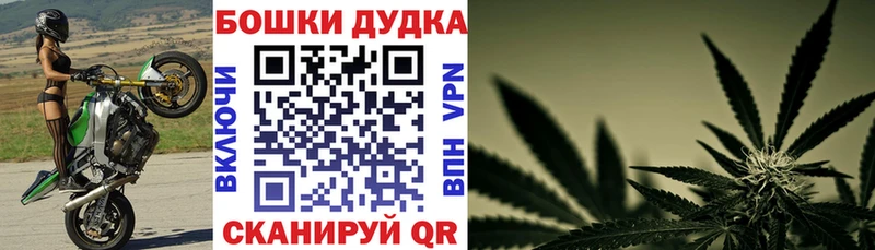 Бошки Шишки планчик  хочу   Волоколамск 